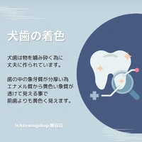 画像1066