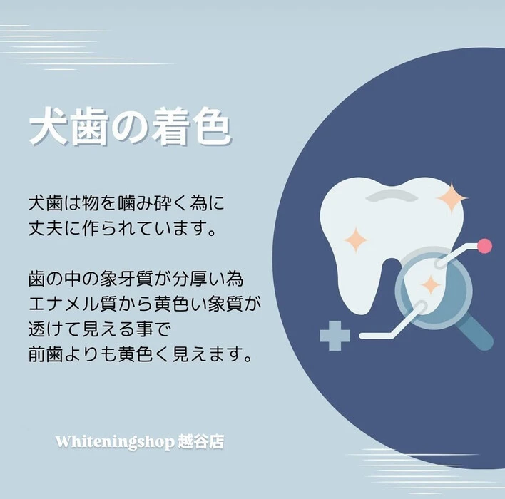 画像1066