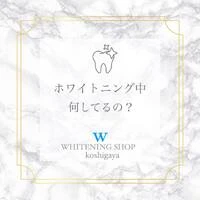 画像439