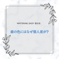 画像743