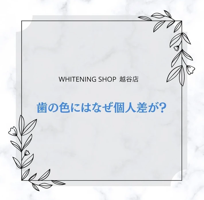 画像743